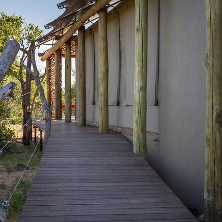 Imagine Africa Luxury Tented Camp 巴卢莱自然保护区 外观 照片