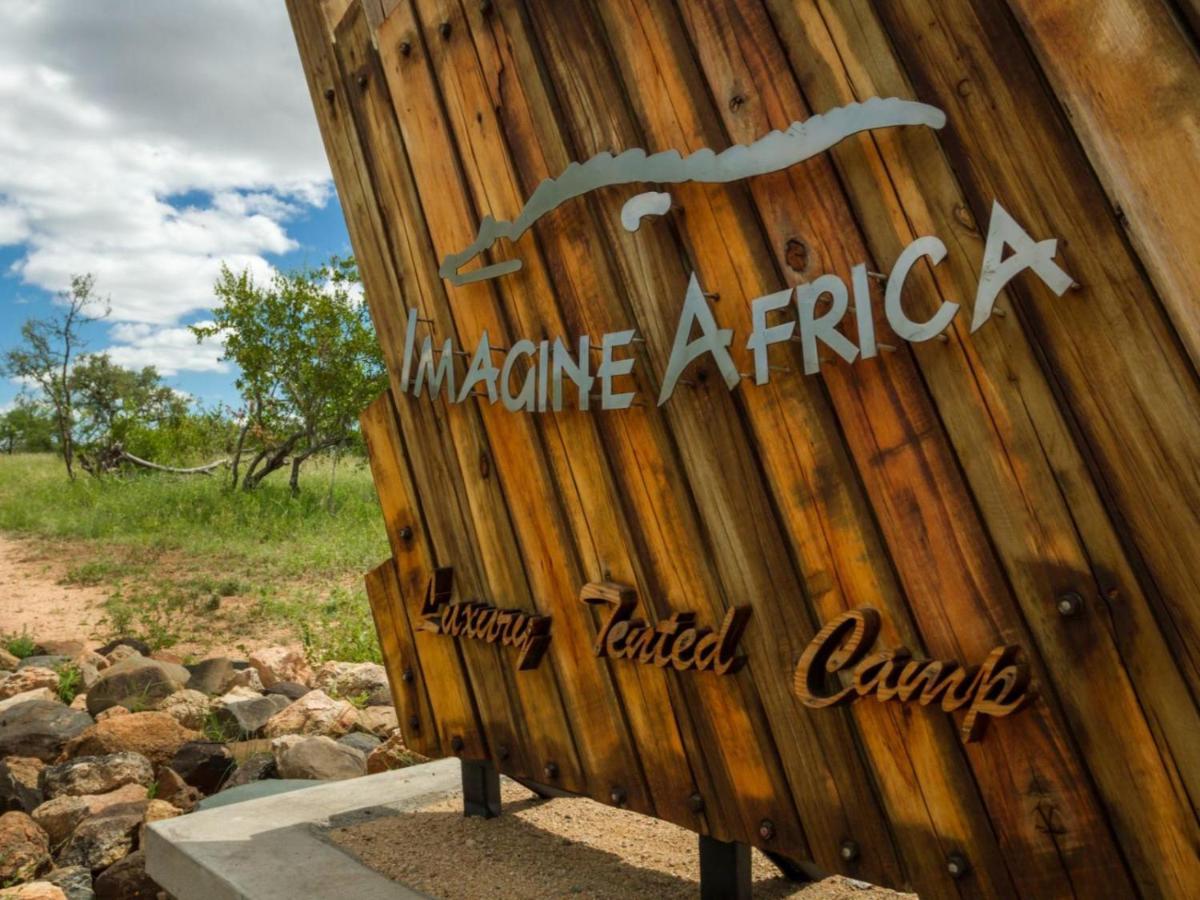 Imagine Africa Luxury Tented Camp 巴卢莱自然保护区 外观 照片