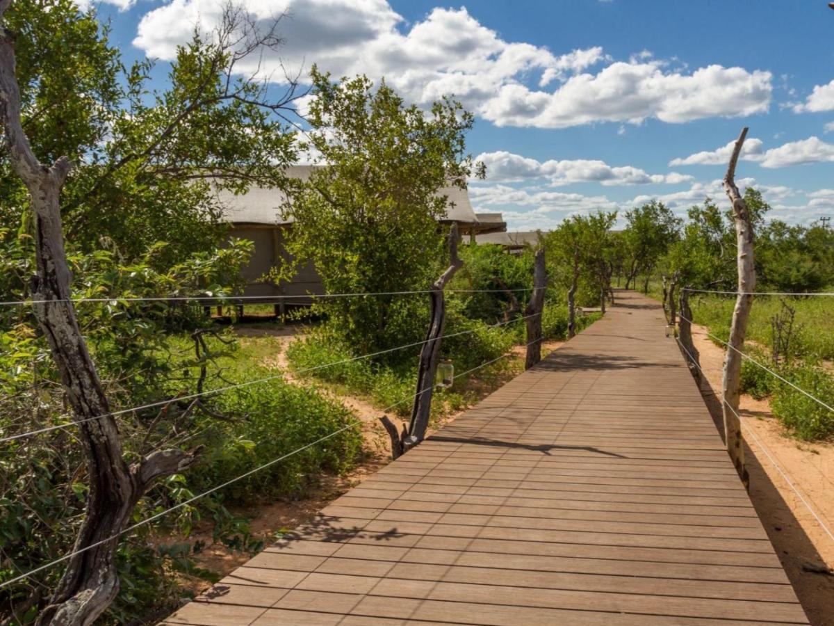 Imagine Africa Luxury Tented Camp 巴卢莱自然保护区 外观 照片