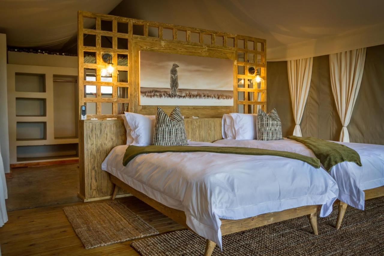 Imagine Africa Luxury Tented Camp 巴卢莱自然保护区 外观 照片