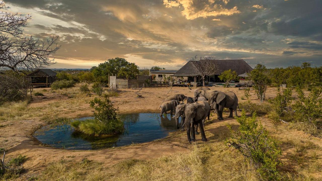 Imagine Africa Luxury Tented Camp 巴卢莱自然保护区 外观 照片
