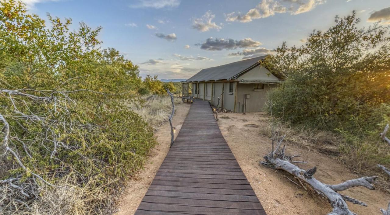 Imagine Africa Luxury Tented Camp 巴卢莱自然保护区 外观 照片