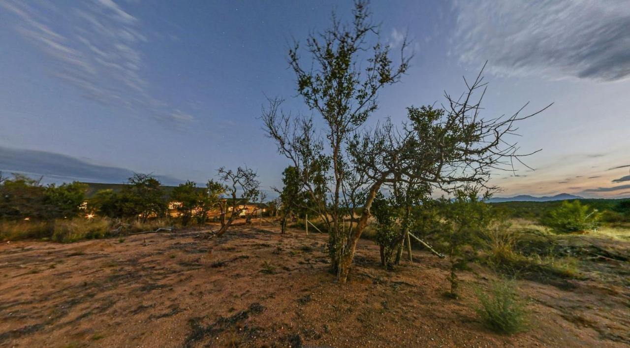 Imagine Africa Luxury Tented Camp 巴卢莱自然保护区 外观 照片