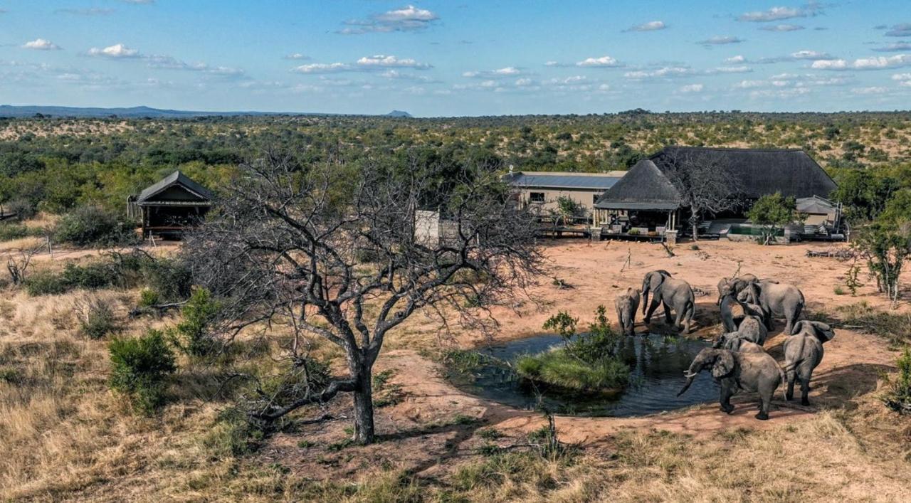 Imagine Africa Luxury Tented Camp 巴卢莱自然保护区 外观 照片