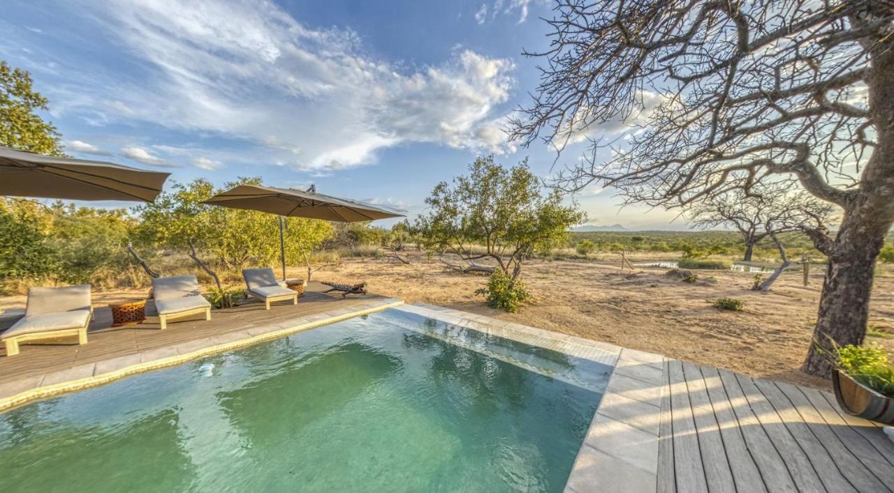 Imagine Africa Luxury Tented Camp 巴卢莱自然保护区 外观 照片