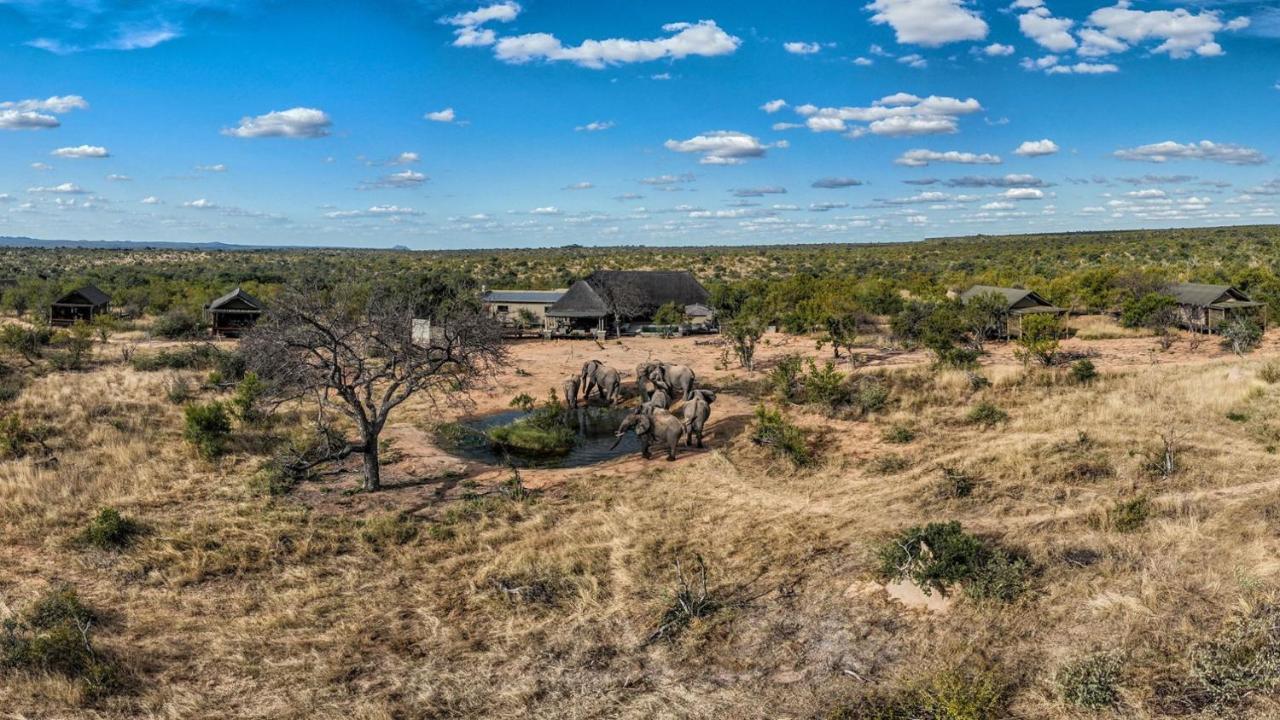 Imagine Africa Luxury Tented Camp 巴卢莱自然保护区 外观 照片