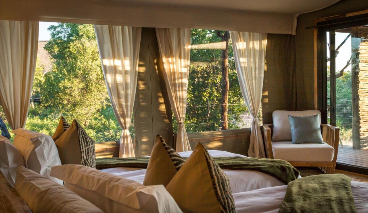 Imagine Africa Luxury Tented Camp 巴卢莱自然保护区 外观 照片