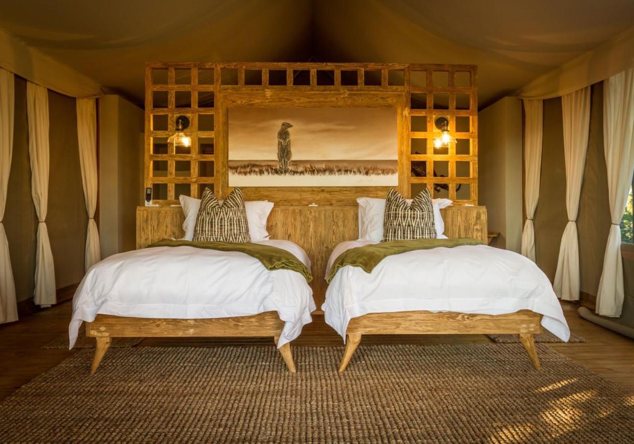 Imagine Africa Luxury Tented Camp 巴卢莱自然保护区 外观 照片