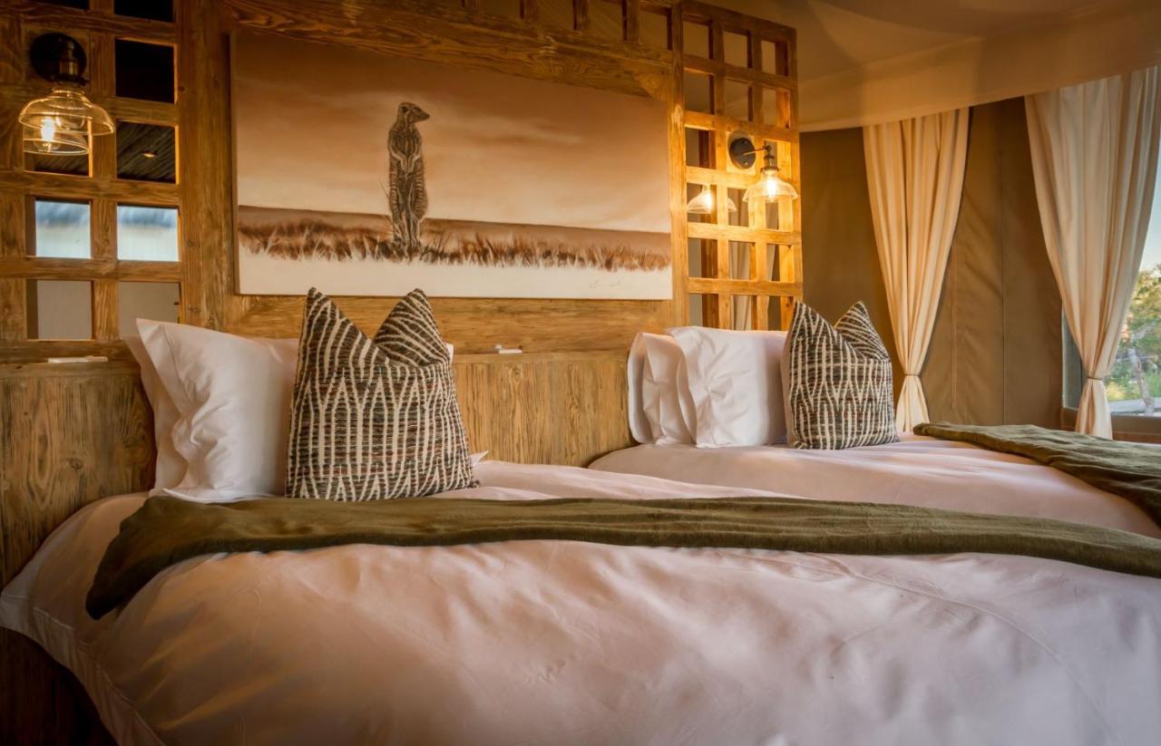 Imagine Africa Luxury Tented Camp 巴卢莱自然保护区 外观 照片