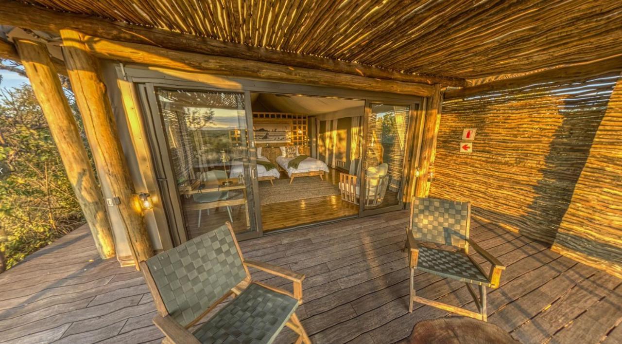 Imagine Africa Luxury Tented Camp 巴卢莱自然保护区 外观 照片